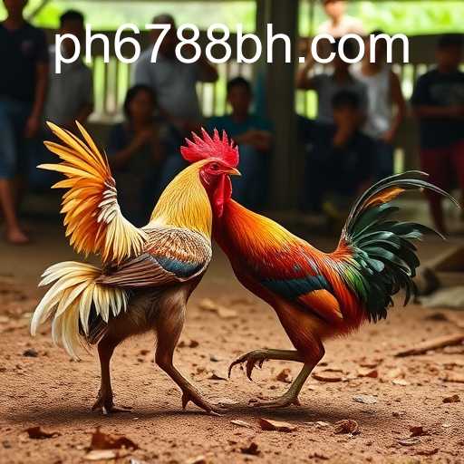 Exploring the World of Sabong Games: The Rise of PH6788.COM